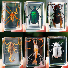 �挍���x�˱������x������͸����֬�׃��@�̌W�^���֩��ϐ�Ӻ���