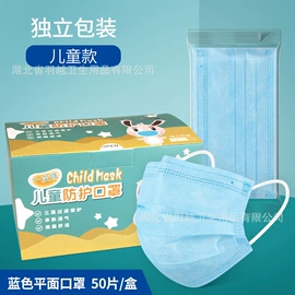 一次性日用口罩;一次性鞋套;其他一次性