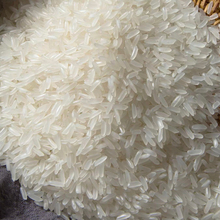 广西上林金丝苗米5kg长粒香米猫牙米2023农家米十斤煲仔饭专用米