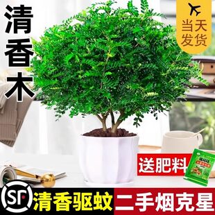 �����������ľ���Ի����҃�����ò�ֲ������Ϙ��辰������Gֲ