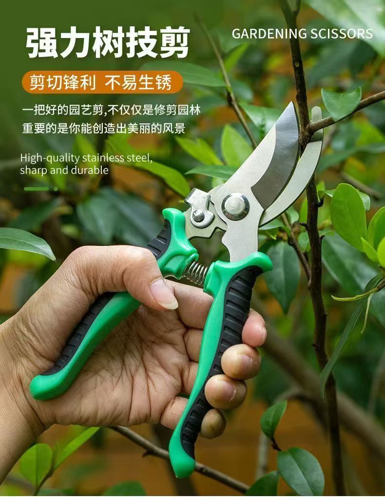 微信图片_20240815225134