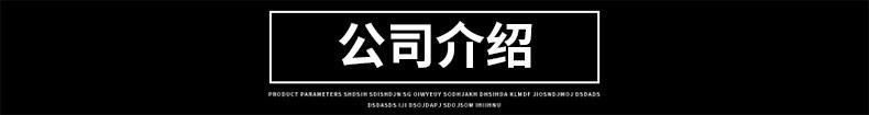 公司介绍
