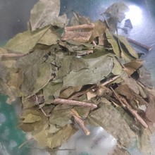 ��ș������ �����~ ��ɽ�� ݸ�� ���� ���������~��ɽ��