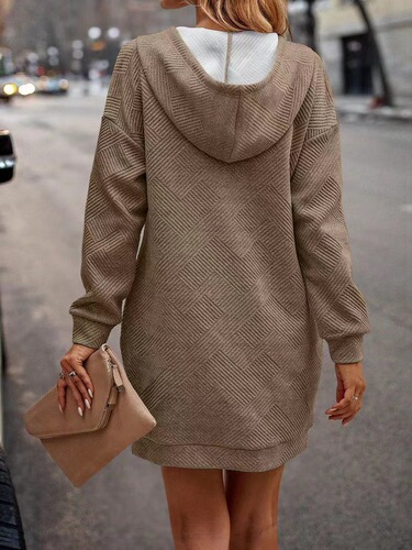 2024 Autumn/Winter Amazon TEMU Western Cross-border Trade Women's Loose Casual Solid Color Hooded Long Sweatshirt