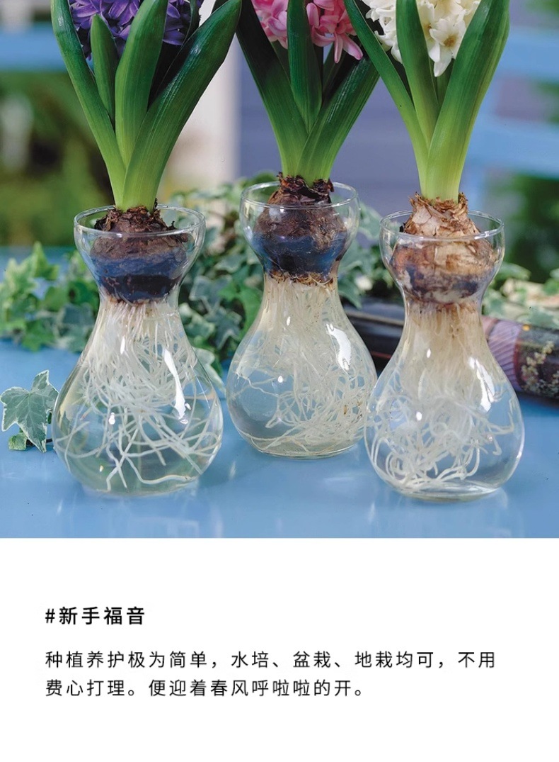 YJH_一键复制_20240722221433