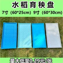 �C��ƽ�P�бP�C��ܛ�Pˮ���P�������lӲ�P������������C����Ӻ�