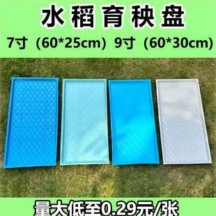 �C��ƽ�P�бP�C��ܛ�Pˮ���P�������lӲ�P������������C����Ӻ�