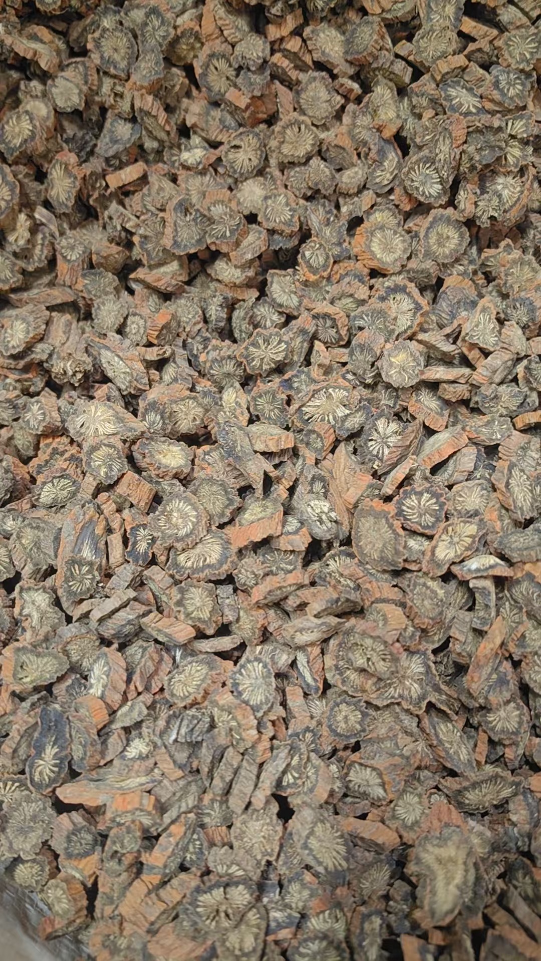 Purple Dan Shen Root Powder Zi Dan Shen Salvia miltiorrhiza Sichuan Source Dried Herb for Decoction and Culinary Use 500g specifications
