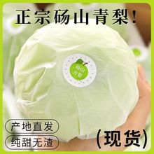 ڴXɽ殔ˮrƤؼִһ̖