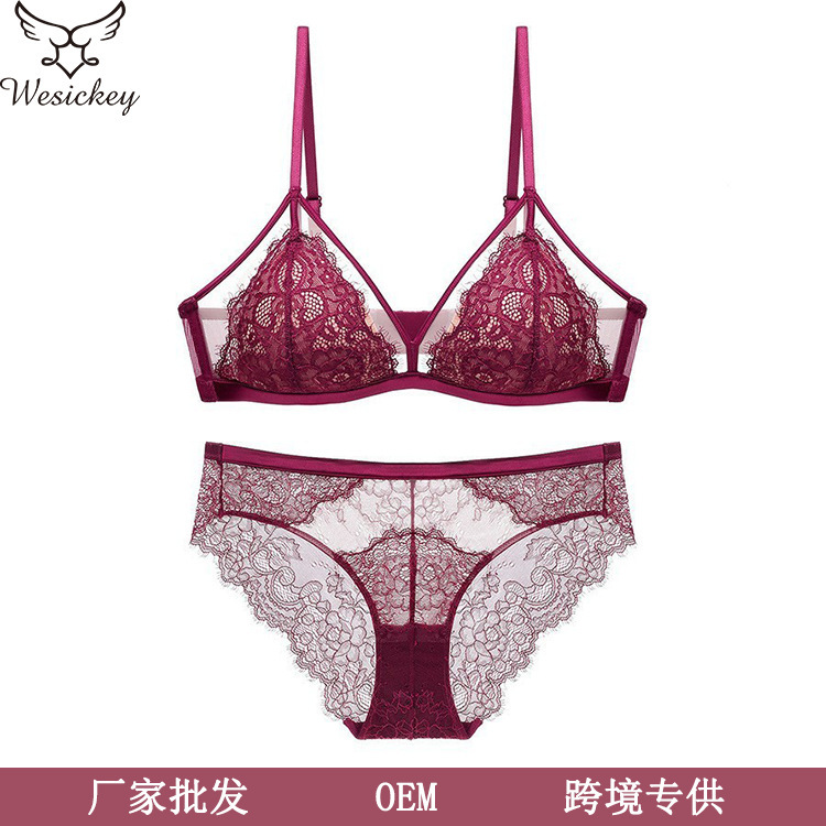 Cross-Border French Sexy Underwear Women's Thin Eyelashes Lace Push-Up Underwear Triangle Cup Wire-Free Bra Set