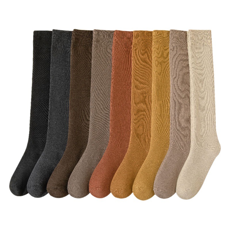 Socks women's autumn and winter fleece-lined thick stockings winter terry warm cold-resistant calf high black stockings