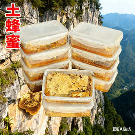 深山纯正土蜂巢蜜1斤一年采一次500g保鲜盒装正宗源头代发峰蜜