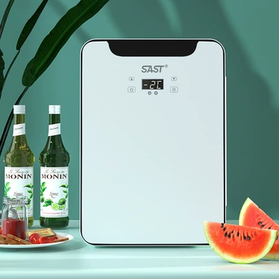 Soyuducular Dual-Use Dormitory Refrigerator Cold Storage