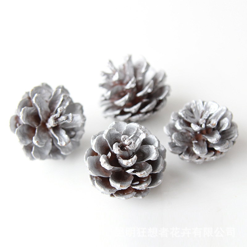 Màu Bạc nón Thông Trung Bình (khoảng 5 trong một túi)