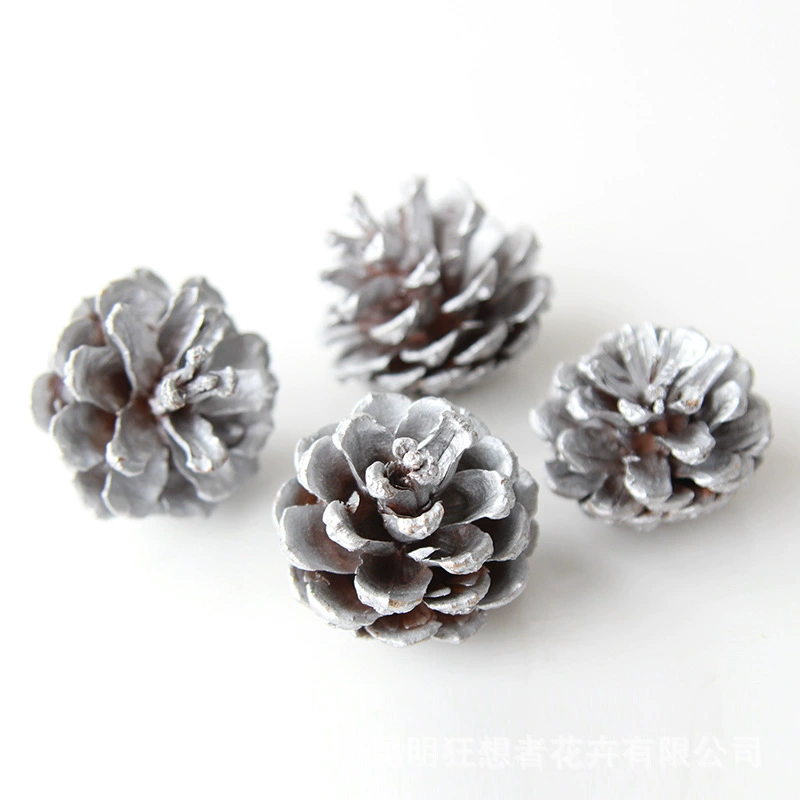 Dry Flower DIY Materials [Dry Fruit] Madman Sommelier Candle Plant Simagon Handmade Class Dry Flower Dry Branches Material