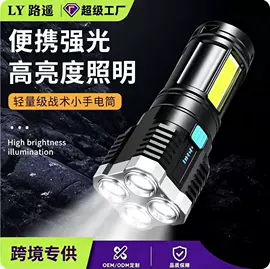 太阳能灯;手电筒;野营/露营灯