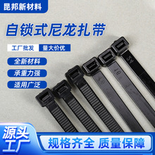 ���iʽ�̶�����������3*200mm����������