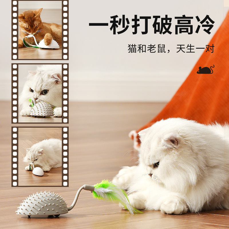 �轺����綯è���USB���ɲ�ж��ëʳƷ���轺�������è���
