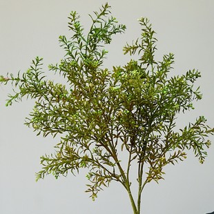 �����L��������滨�Ҿӿ͏d�bپGֲ�廨����ܛ�b�Ʒ���յ���