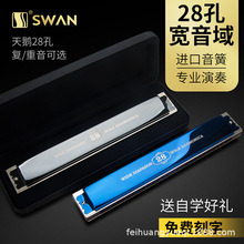 德国进口音簧天鹅28孔复音重音口琴高级成人初学者专业演奏级乐器