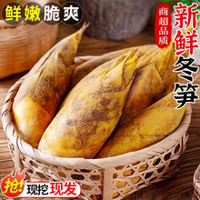 ���r���S�F����S�����߲�5���r���׹Së��S���S����S������]3