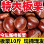 燕山新鲜香甜老树板栗