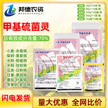 �ղܼ׻��в��� 70%�׻�����`�ۄ������߲˳�ù�ڰ߲��rș������