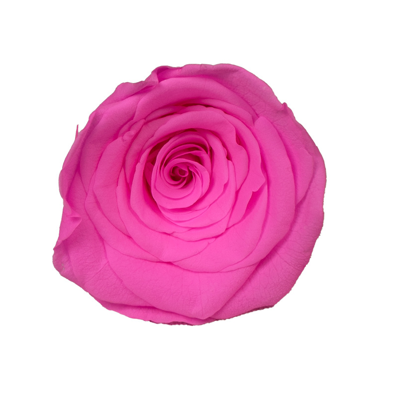 4-5cm 8 Flores, grado B DIY flores eternas, rosas eternas, Yunnan Kunming al por mayor, flores preservadas