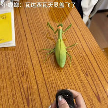 �����b����������Є�������x���M����≺늄������к����