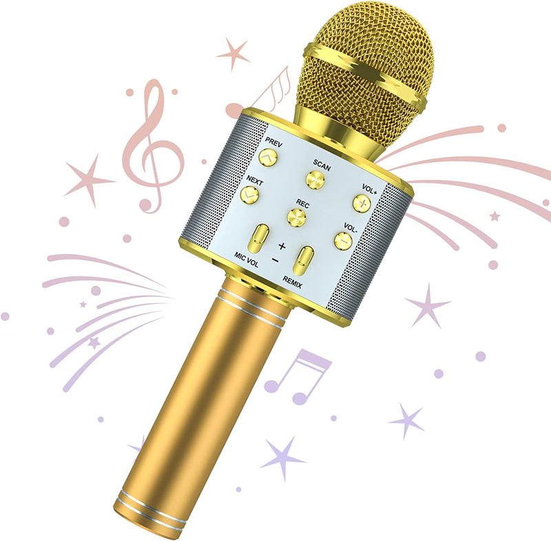 858無線bluetoothマイク音響一体k歌宝カラオケマイクを持って歌うスピーカー工場の優位性|undefined