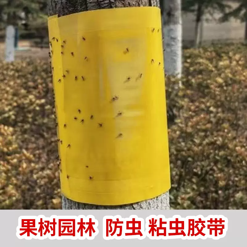 外贸林业专用胶带树木果树园林双面粘虫胶带树木防虫粘虫黏虫定制