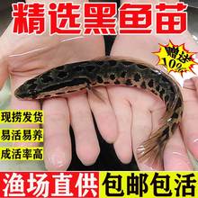 ~ʳÞ~絭ˮBֳ~ؔ~^p~Bsk~