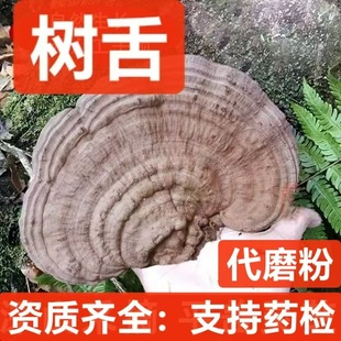 ��ș�� ƽ�w�`֥ �����`֥ ��ᘌӿ׾� �ɘ��`֥�ɰ׸�������