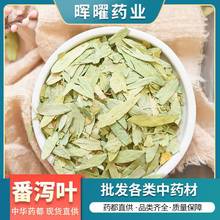【晖曜药业】源头直供番泻叶 净货番泻叶粉 干净无杂质量大从优