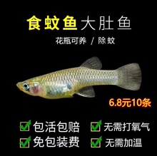 ��ˮ�~��ʳ���~������F�~С���^�p�~���w�����ˮ�^�p�~��ԭ���~