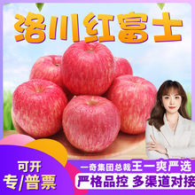 【严选】陕西洛川红富士 代发5斤脆甜红苹果新鲜水果非奶油富士
