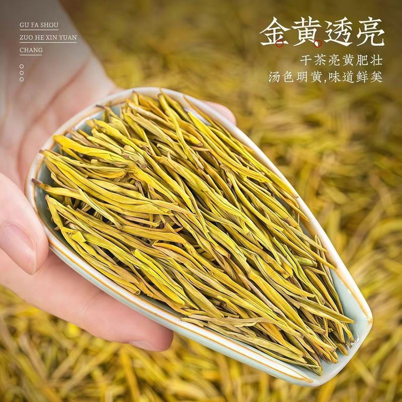新茶 黄金の芽 緑茶 黄金の葉 自分で飲むお茶 メーカー直送 半斤 ギフト箱 明前緑茶|undefined