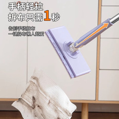 家用迷你自动夹布拖把多功能清洁拖把平板免手洗卫生间小拖把批发
