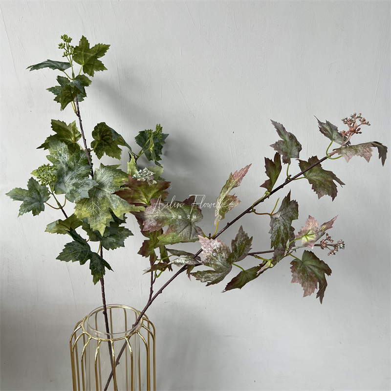 Grape leaves