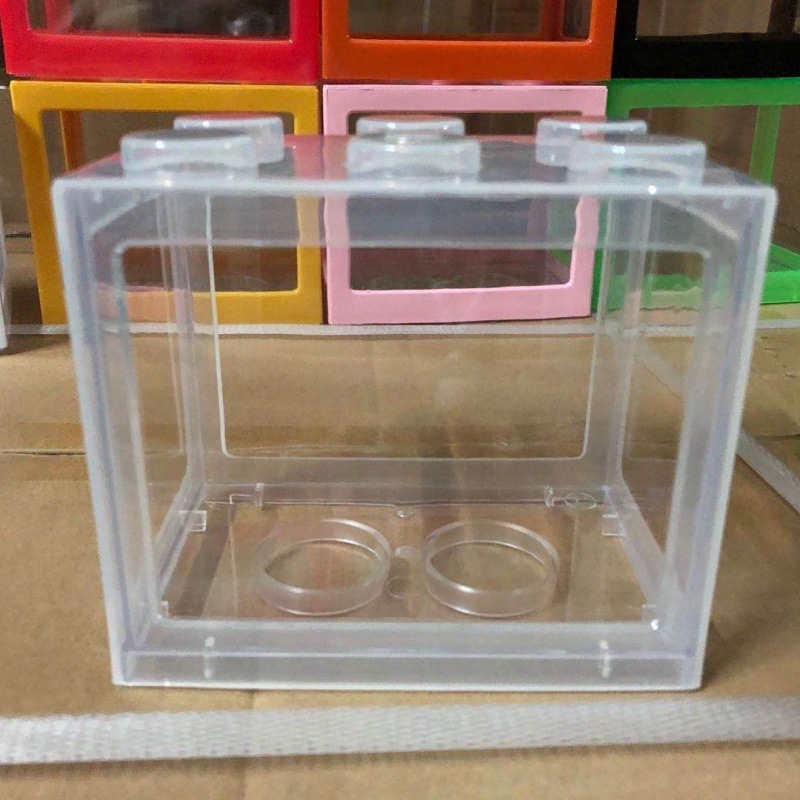 Constructor, aquarium, seaweed, wholesale