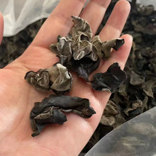 �|����ľ����ľ���a��؛Դ���l�ؔ��ܽ���ʳ���r�aƷɢ�b녶����