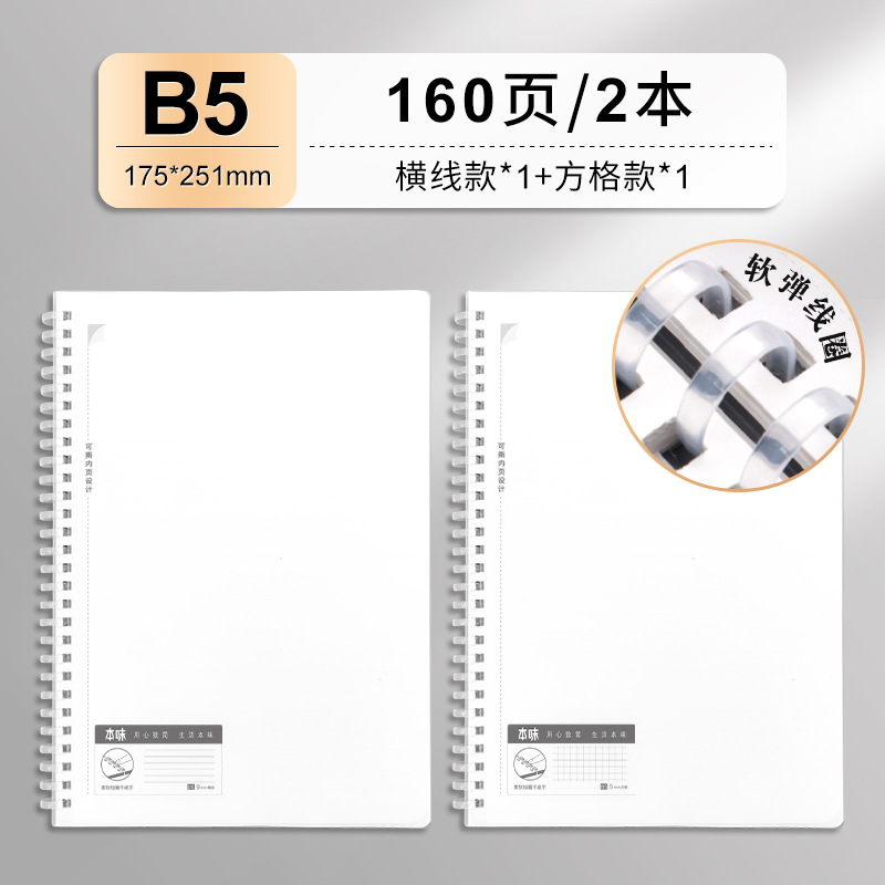 10_B5 수평 광장 2 이 팩 업그레이드 소프트 코일