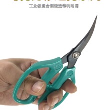 ������߅�����N�^�����IƤ����z���zЬ�ײ���ƹ���������zƤ