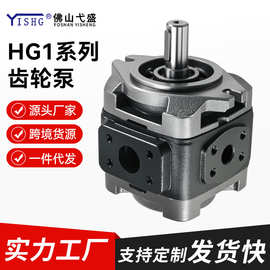 高压内啮合齿轮泵HG1-25 32 40 50 63-01R-VPC VSC-G齿轮泵油泵