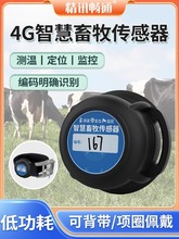 猪牛羊电子耳标测温定位RFID识别智慧畜牧传感器行为分析动物耳标