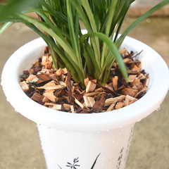 New type orchid-specific growing medium, pure cedar wood shavings orchid soil, Cymbidium nutrient soil, Phalaenopsis substrate, Dendrobium substrate