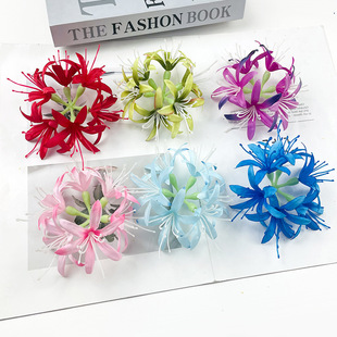С̖�˰�����������ɳ�A�ٻ� diy���L�^��������ϰ��b�ins�l�A