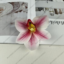 ���m���滨��ӡ�����m���^�ػ��L�η���ֶYDIY�Y�л�Y�b�