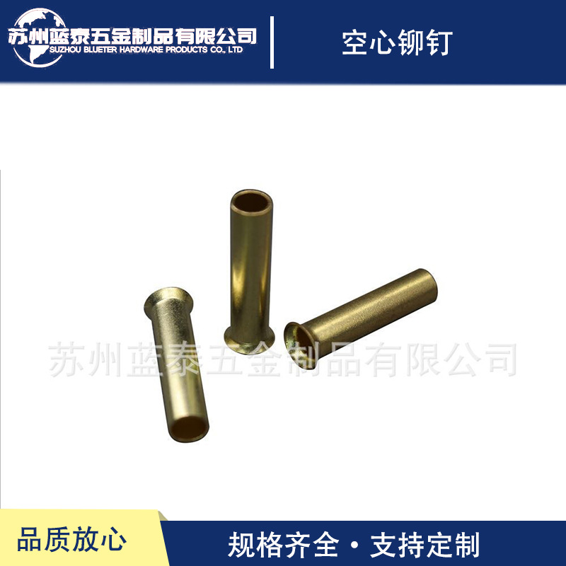 厂家供应T876空心铆钉 空心铜/铁/铝/不锈钢铆钉空心铆钉非标铆钉