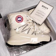 ѩѥŮӽqӺ·׷ˮ|Ь2025¿ѩЬ